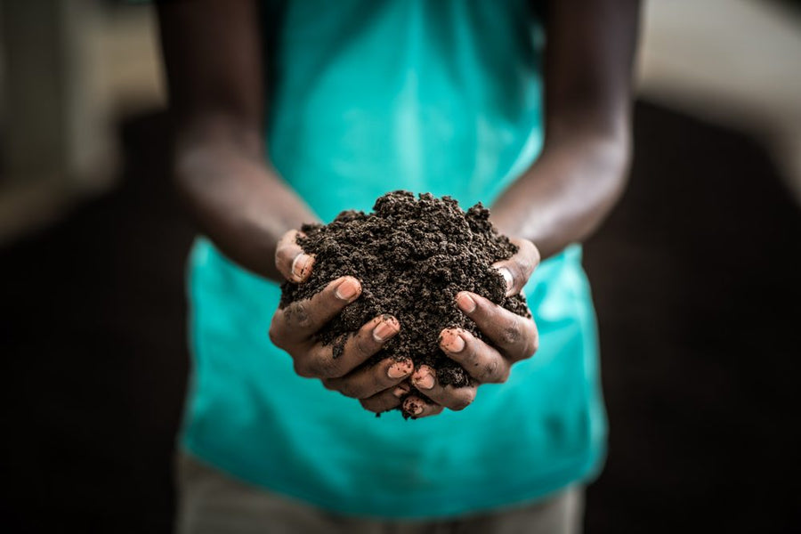 The soil
