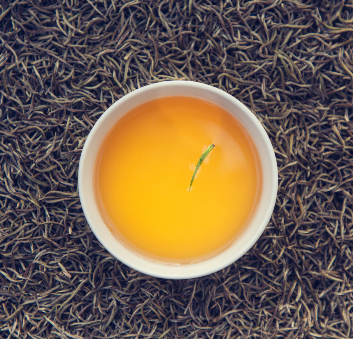 Silver Needle White Tea 15GM
